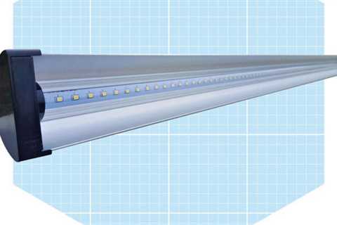 8 Best Grow Lights for a Greenhouse