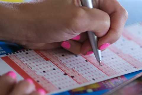 My Dog Ate Winning Lotto Ticket: Couple Claim