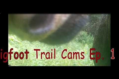 Bigfooter Gary - Bigfoot Trail Cams Ep. 1