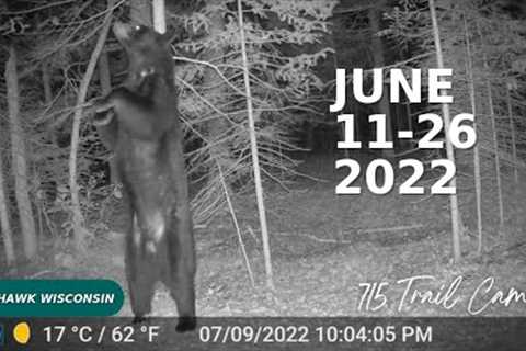 June 26th - July 16th 2022 Tomahawk Wisconsin Trail Cam Videos