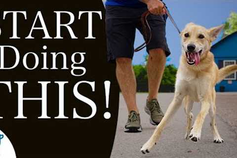 STOP Struggling With Traditional Leash Walking Training