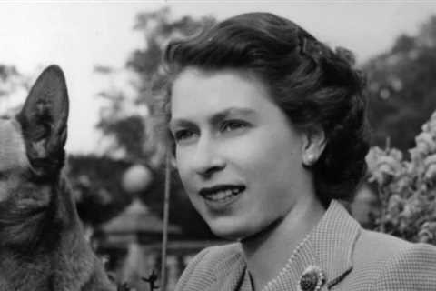 A Royal Family Member Once Said The Queen’s Corgis ‘Should Be Shot’, Here Was Her Majesty’s Response