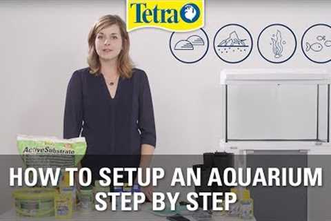 How to set up an aquarium | Fish tank setup step by step