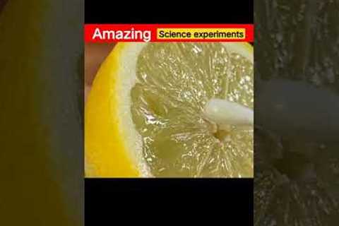 Amazing science experiments #shorts #shortfeed #shortindia #shortvideo #shortsfeed #shortyoutube