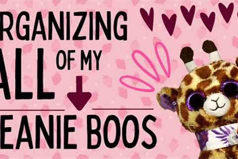 Beanie Boo Shelf Re-Organization! - How I Store My Beanie Boos✨