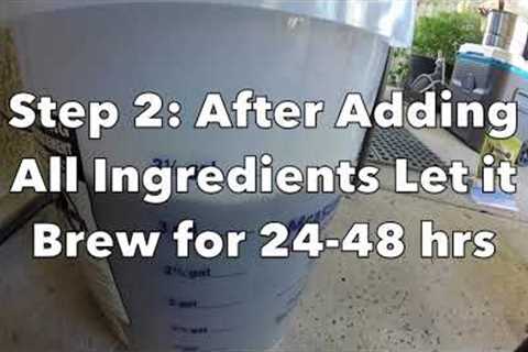 Tepache Fermented Fruit Juice Compost Tea