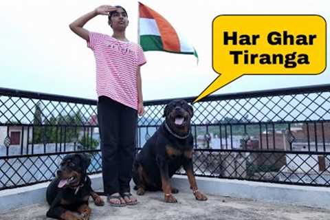 Har ghar tiranga by jerry and oggy | funny dog videos | the rott