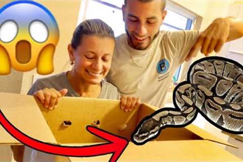 SUPRISING MY MOM with Her WORST FEAR!! (SHE HAD NO IDEA!)