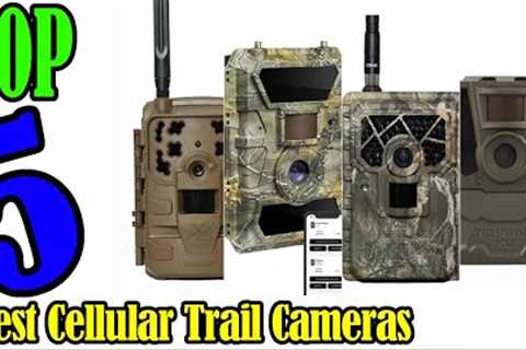 Buyer’s Guide: Best Cellular Trail Cameras In 2022