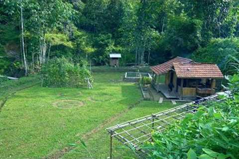 A peaceful day in a fairyland, Digging reserve taro - Building a life alone in the wilderness