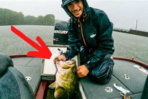 IT BARELY FIT IN THE LIVEWELL!! One of the BIGGEST FISH I've ever caught [summer bass fishing]
