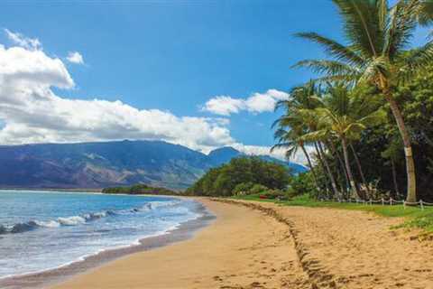The 5 Best Things to do in Hawaii