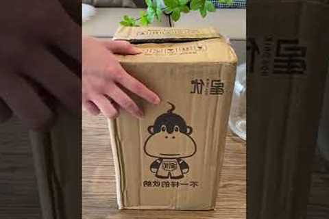 Susan House - Home Gadgets unboxing #unboxing #shorts