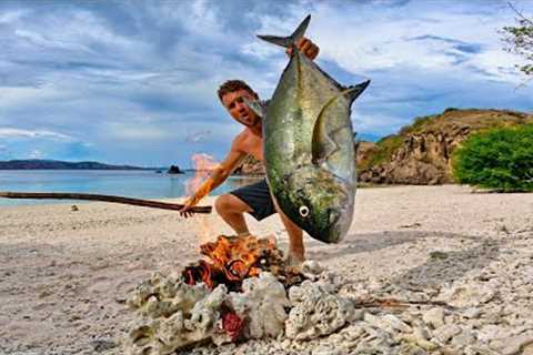 Solo survival (NO FOOD, NO WATER, NO SHELTER) Big Fish Catch Fillet and Cook