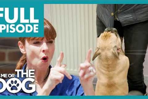 Naughty Frenchie TEARS Victorias Coat | Full Episode | It's Me or the Dog