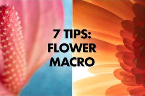 7 Tips for Flower Macro Photography