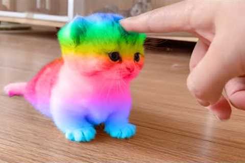 1 Hour of Funniest Cat Videos on the Planet #4 - Best Funny Animal Videos 2022