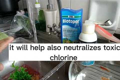 HOW TO PREPARE WATER FOR FISH TANKS AQUARIUM