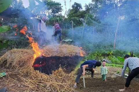 Green forest life-life at home, sowing seeds of vegetables, taking care of pigs-build green life