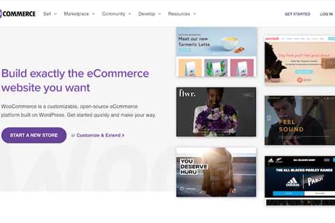 WordPress Vs. Shopify