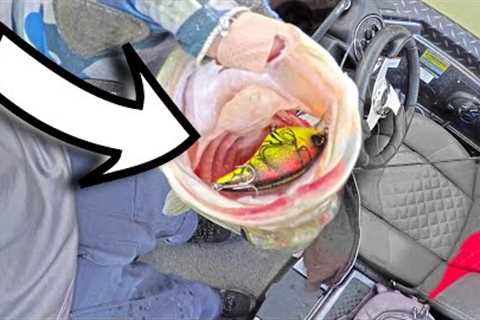 EXPENSIVE Pre Spawn FISHING LURE SHOWS OFF ~ LAKE CHICKAMAUGA