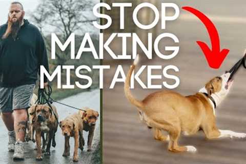 Dog Training Mistakes You Must Avoid Walking Your Dog