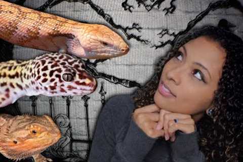5 Best Reptiles For Kids