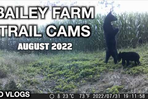 Bailey Farm Trail Cams August 2022