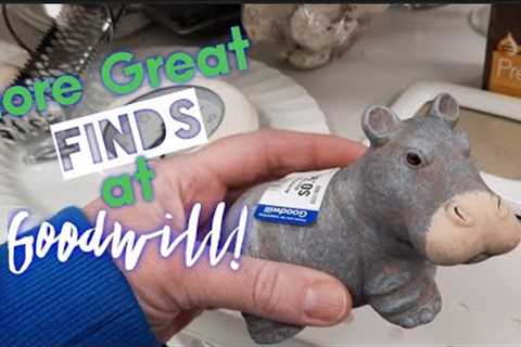 More Great Finds at Goodwill! - Shop Along With Me - Goodwill Thrift Store