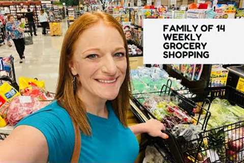FAMILY OF 14 GROCERY SHOPPING