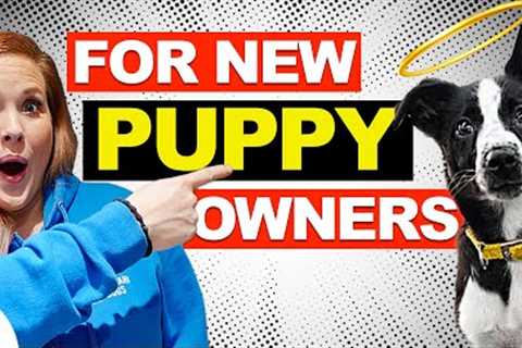 5 Common Puppy Training Mistakes That New Dog Owners Make