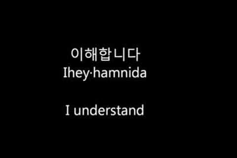 Learn Korean: 100 Korean Phrases for Beginners