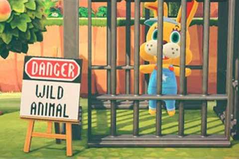Best ANIMAL CROSSING New Horizons Clips #117