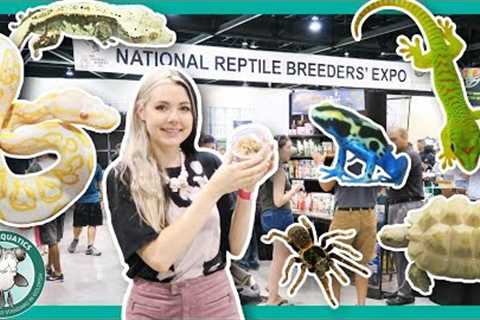 LET'S GET A NEW PET! // Daytona Reptile Breeders' Expo