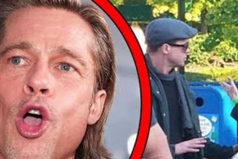 Top 10 Biggest Brad Pitt Red Flags We Should've Noticed
