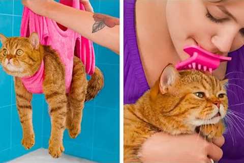 I TRIED THESE GADGETS ON MY CAT AND DOG | Clever Hacks And Cute DIY Crafts For Your Pets