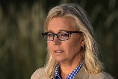 Liz Cheney Calls on Americans to Unite Against Trump