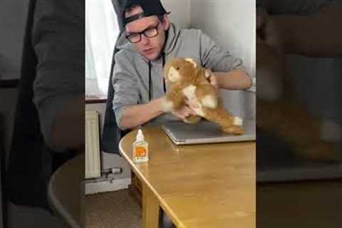 How to teach naughty cats a lesson #shorts