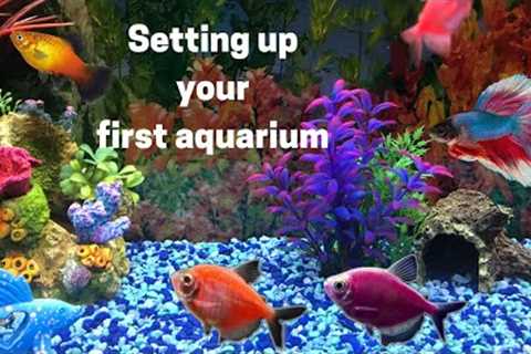 Beginners First Aquarium - How to Set up Your First Fish Tank