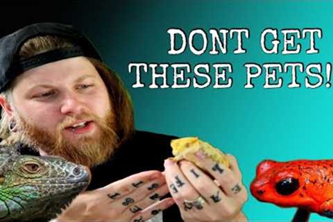 Top 5 WORST Beginner Reptiles That EVERY Pet Store Sells