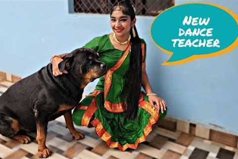 My dog need attention  | oggy jerry ki dosti | funny dog videos