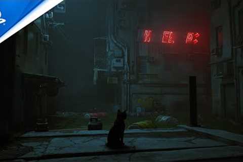 Stray - Gameplay Walkthrough | PS5, PS4