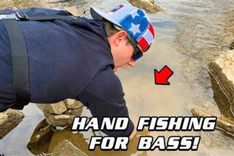 HAND FISHING FOR BASS #shorts