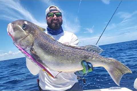 How To Find Fish? | Slow Pitch Jigging | Golden Tilefish | Offshore Fishing | JohnnyJigs