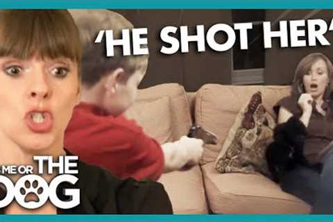 Kid Terrorises Dog Shooting It with Toy Gun | It's Me or The Dog