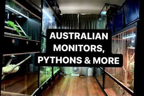 Australian Reptile Collection Tour