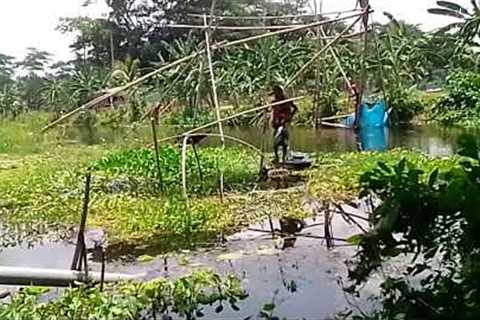 1. Fishing by Dhommo Net | Joy Fishing Vlog