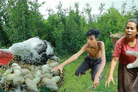 Survival skills-Man with woman found egg in the forest for cook -Eating delicious