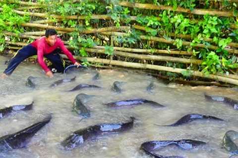 amazing fishing! a fisherman skill catch fish a lots on the road flooding in my special place