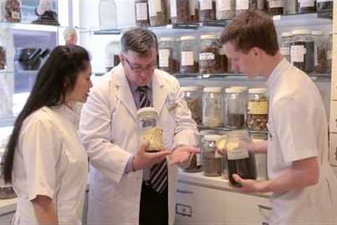 UTS Science: Chinese Medicine Clinic